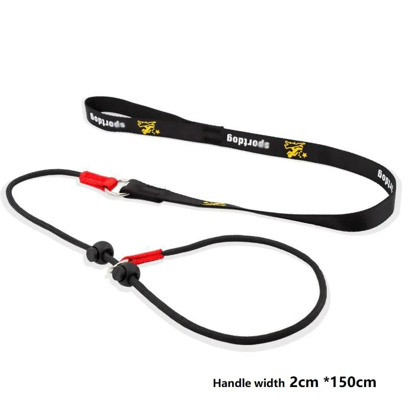 Training Dog Choking Leash PeTown Store