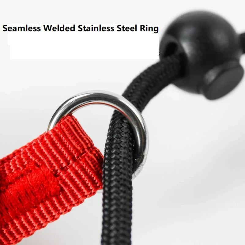 Training Dog Choking Leash PeTown Store