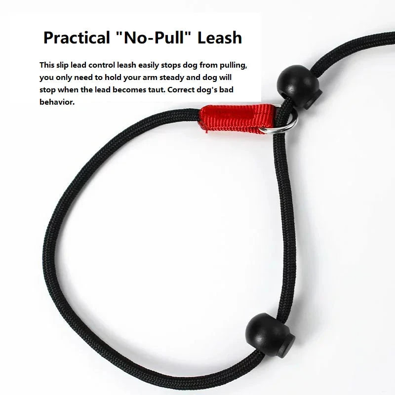 Training Dog Choking Leash PeTown Store