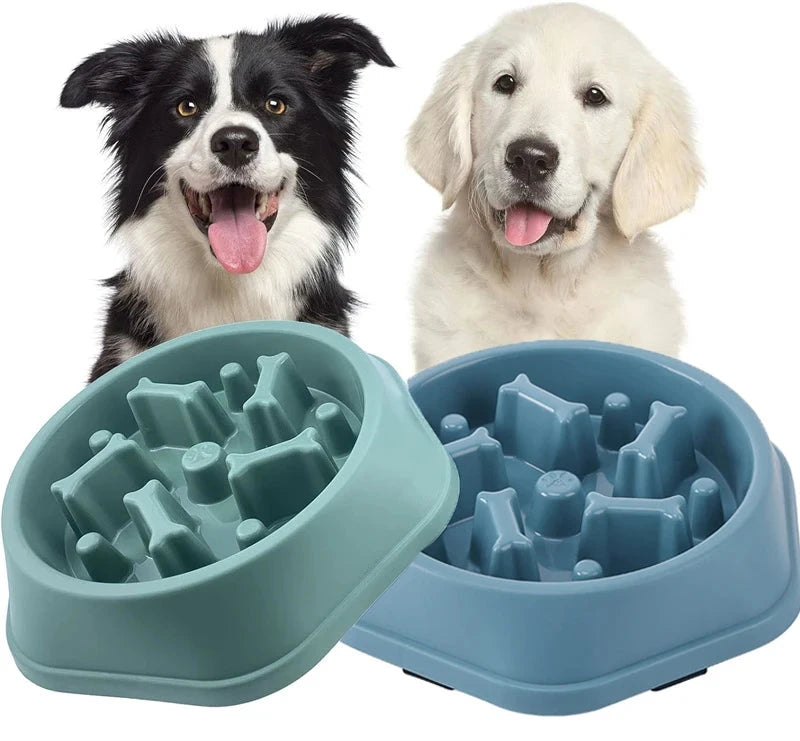 Slow Feeder Dog Bowl Doggy Live House Store