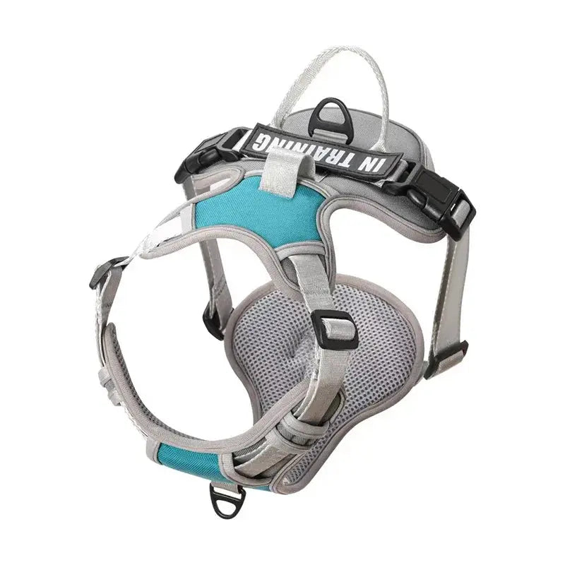 Nylon Adjustable Dog Harness KOMMILIFE Official Store