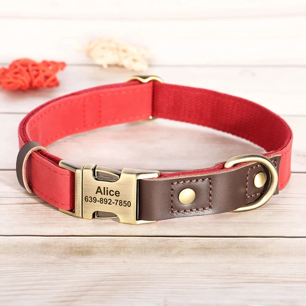 Personalized Dog Collar and leash David's Mall-Pet Products Supplier