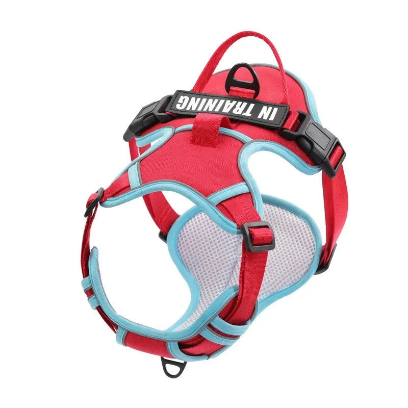 Nylon Adjustable Dog Harness KOMMILIFE Official Store