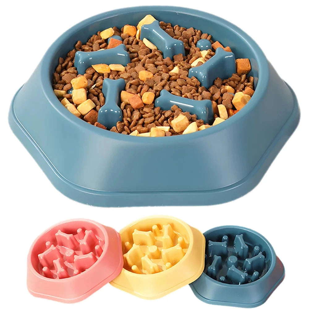 Slow Feeder Dog Bowl Doggy Live House Store