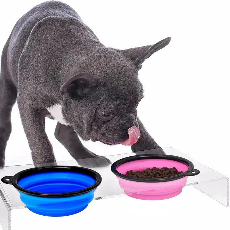 Portable  Dog Feeder Bowl Lynette Factory Store