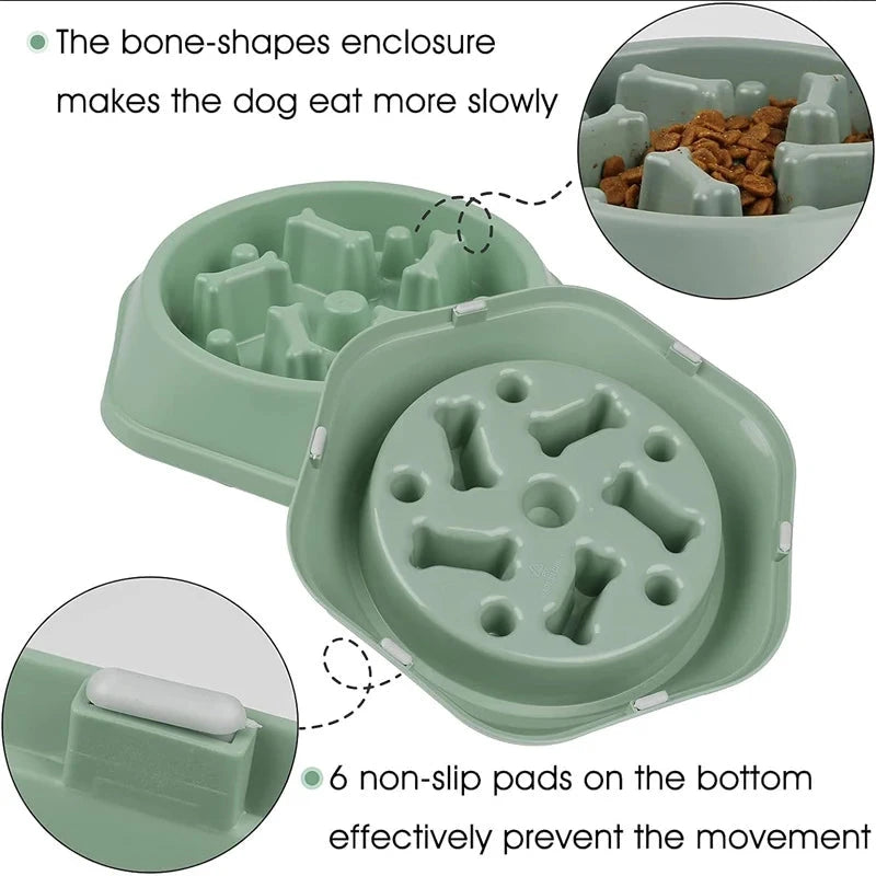 Slow Feeder Dog Bowl Doggy Live House Store
