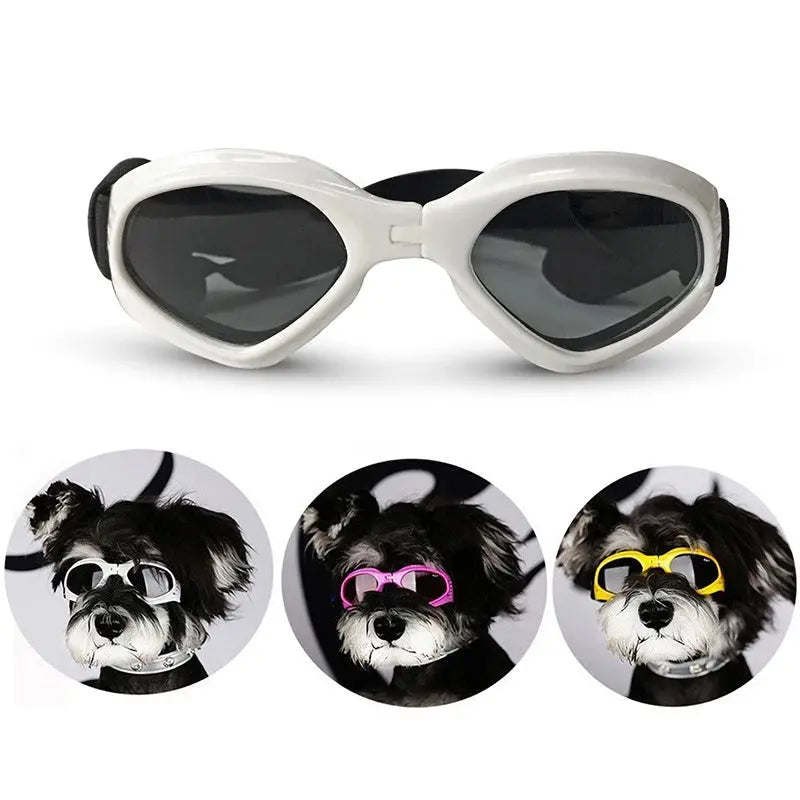 Foldable Pet Glasses Love Pet Supplies Store Store