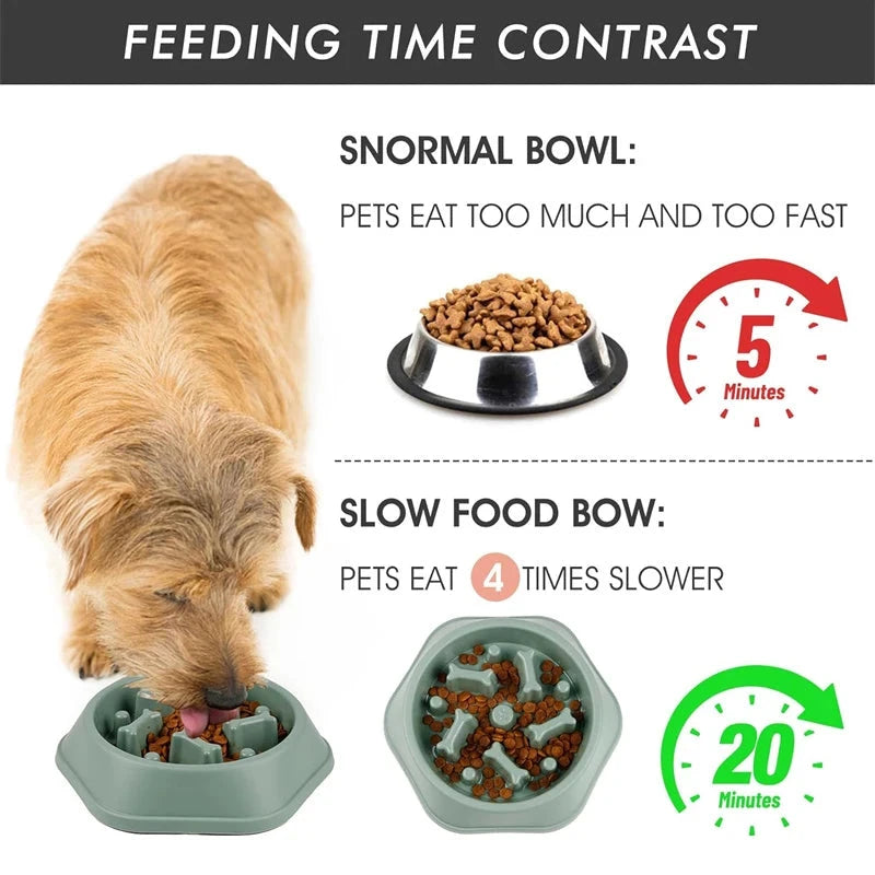 Slow Feeder Dog Bowl Doggy Live House Store