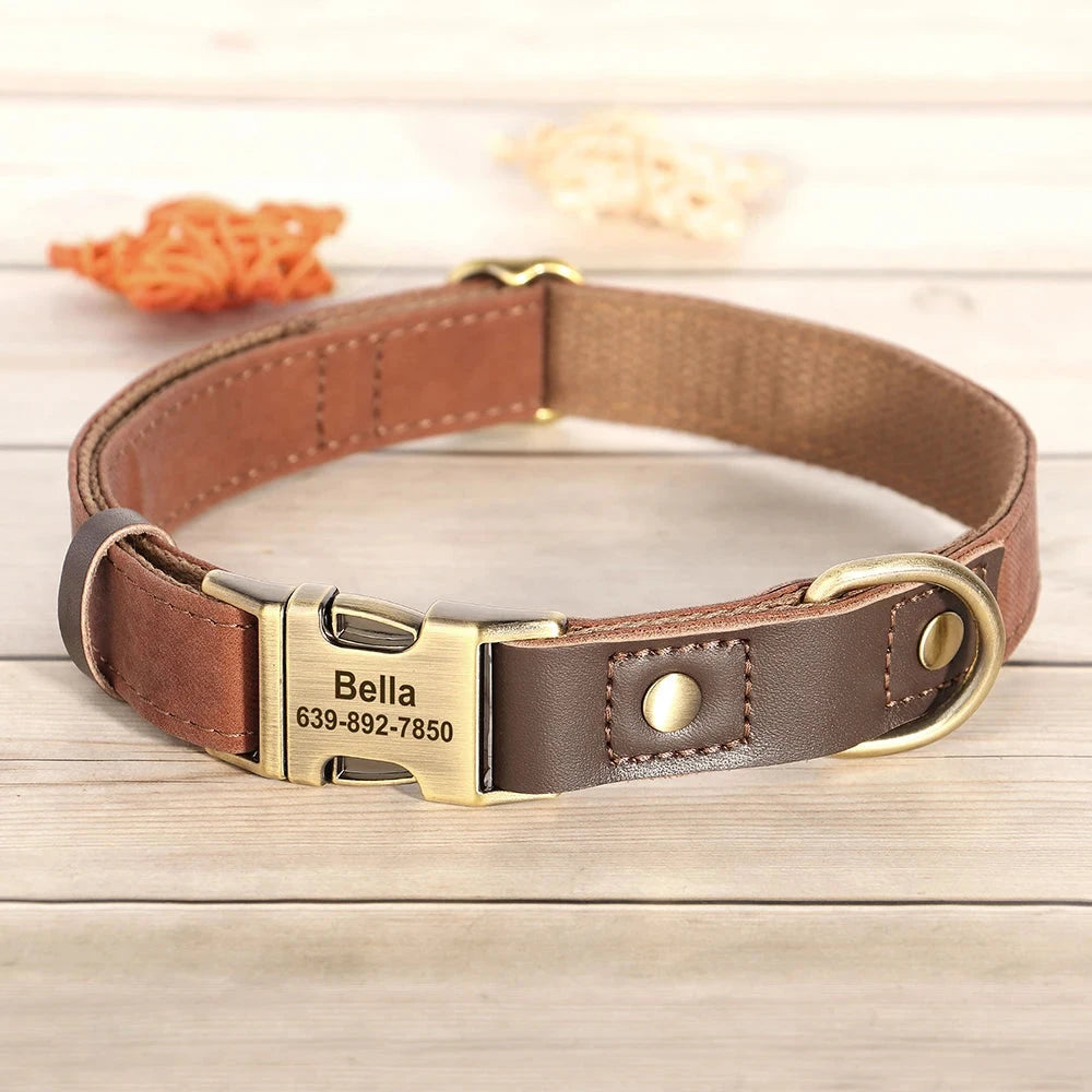 Personalized Dog Collar and leash David's Mall-Pet Products Supplier