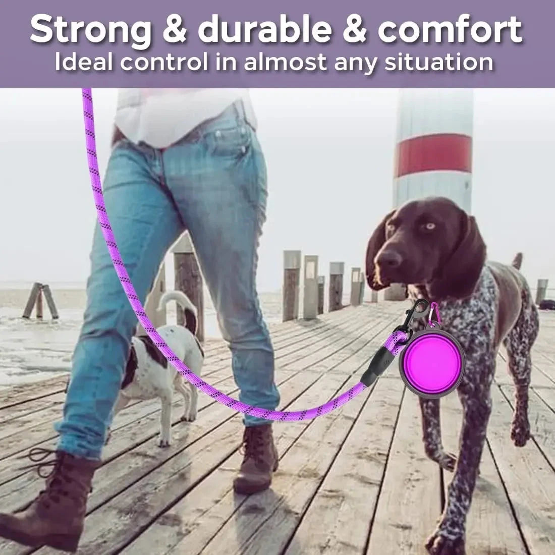 Strong Dog Leash Bobit Store