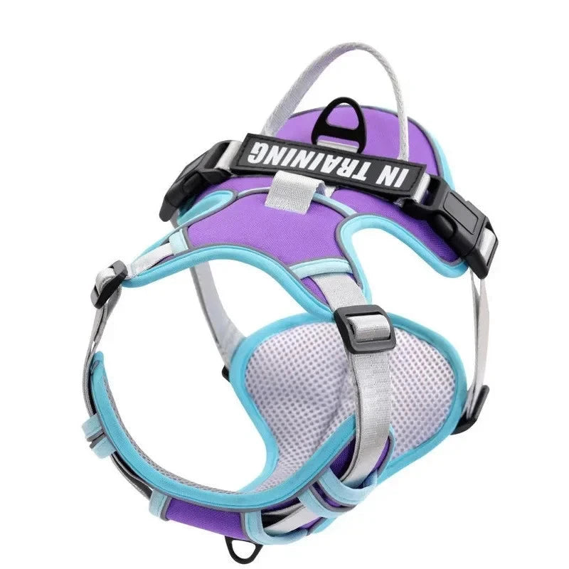 Nylon Adjustable Dog Harness KOMMILIFE Official Store