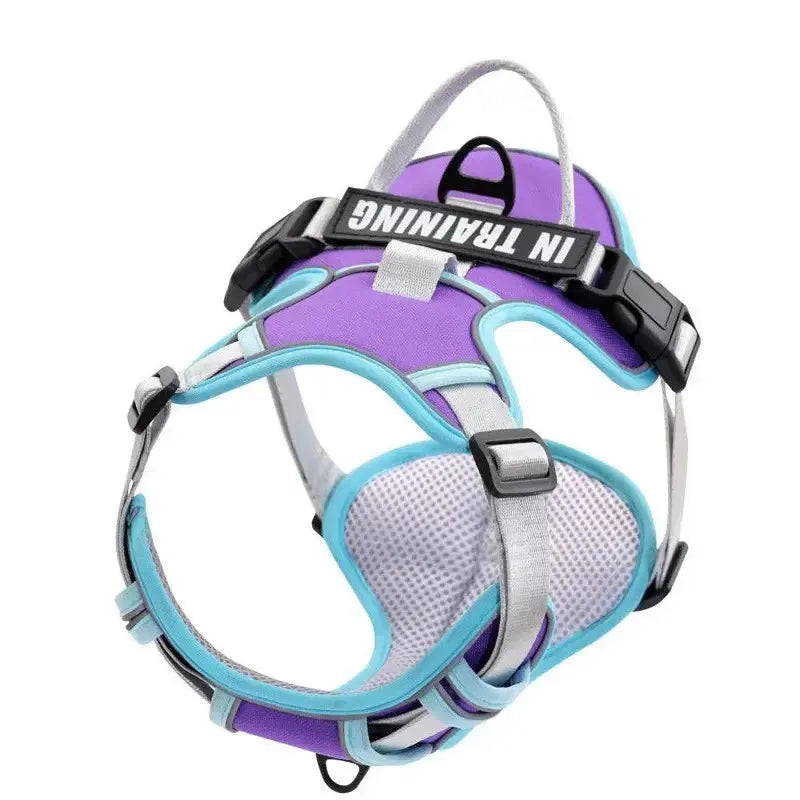 Nylon Adjustable Dog Harness KOMMILIFE Official Store