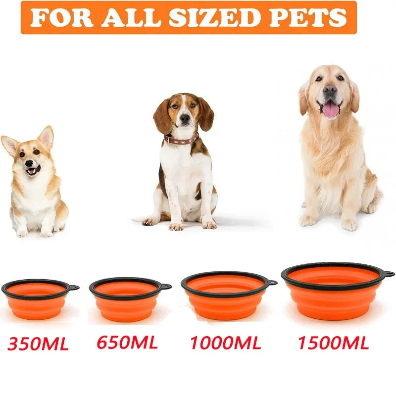 Portable  Dog Feeder Bowl Lynette Factory Store