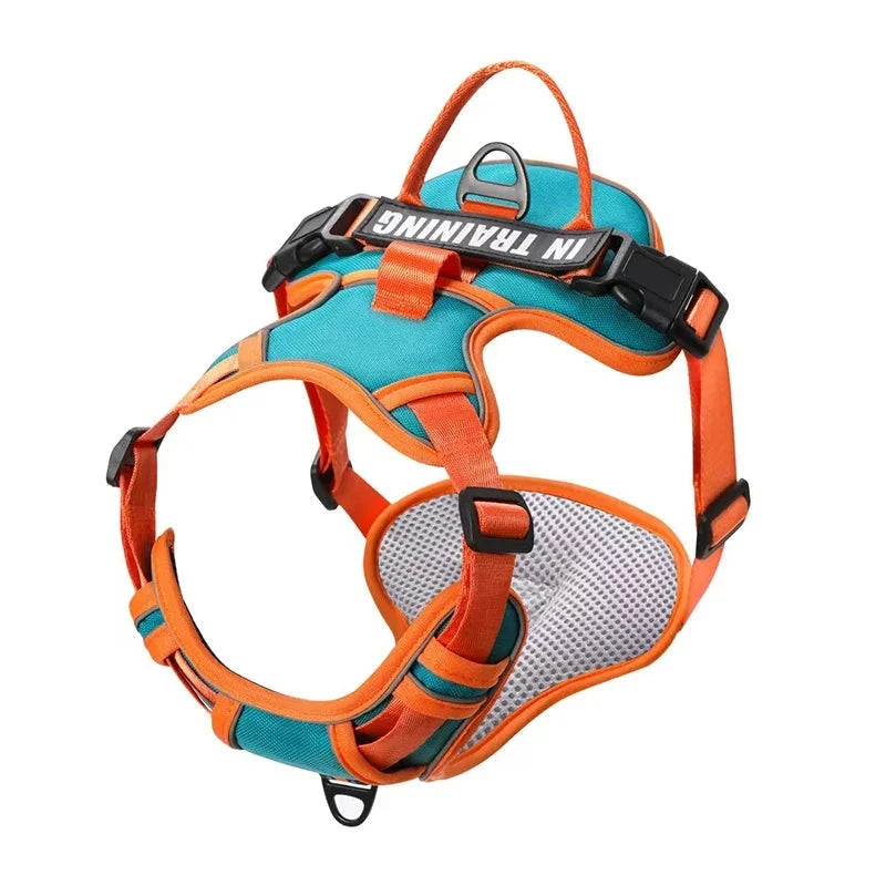 Nylon Adjustable Dog Harness KOMMILIFE Official Store