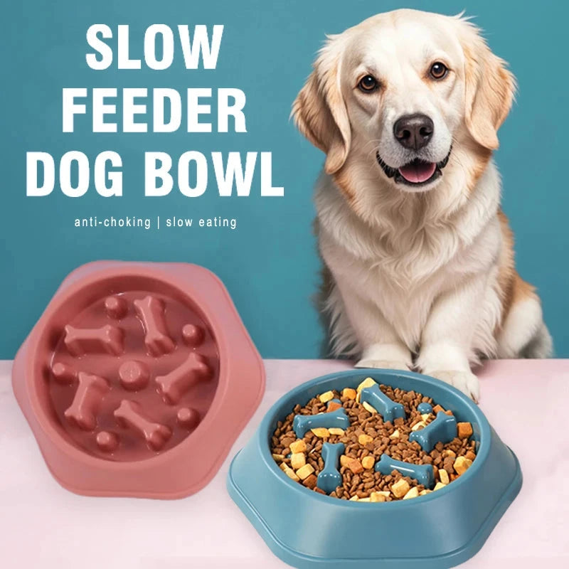 Slow Feeder Dog Bowl Doggy Live House Store