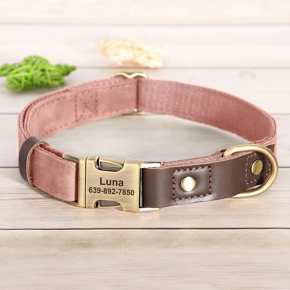 Personalized Dog Collar and leash David's Mall-Pet Products Supplier