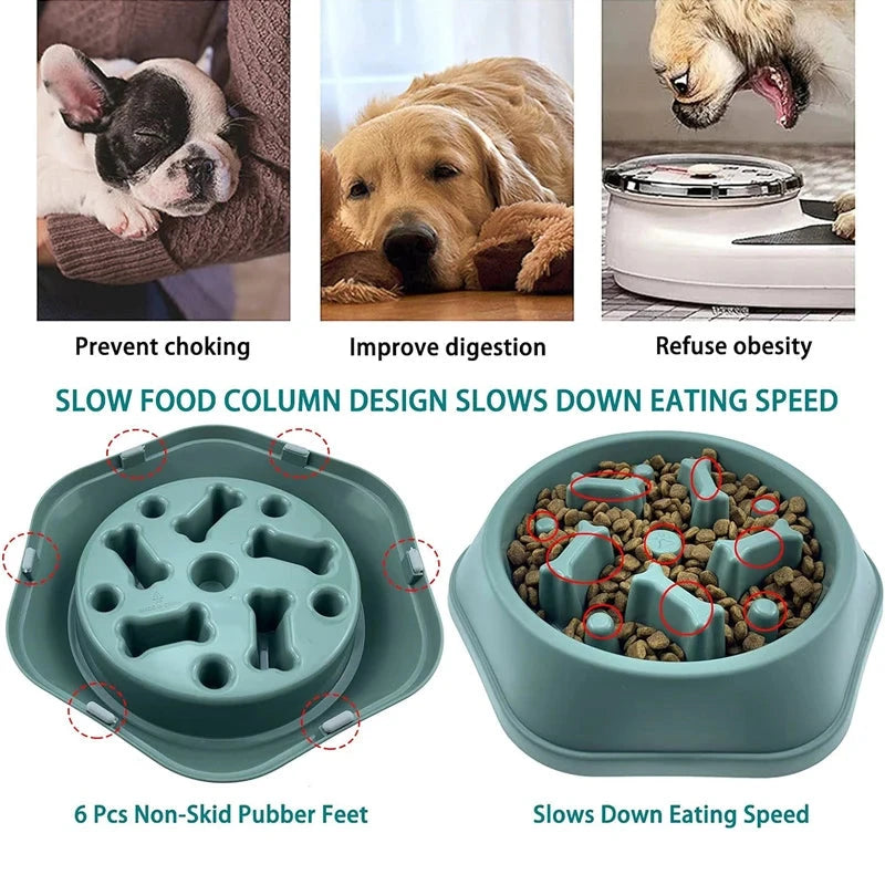 Slow Feeder Dog Bowl Doggy Live House Store