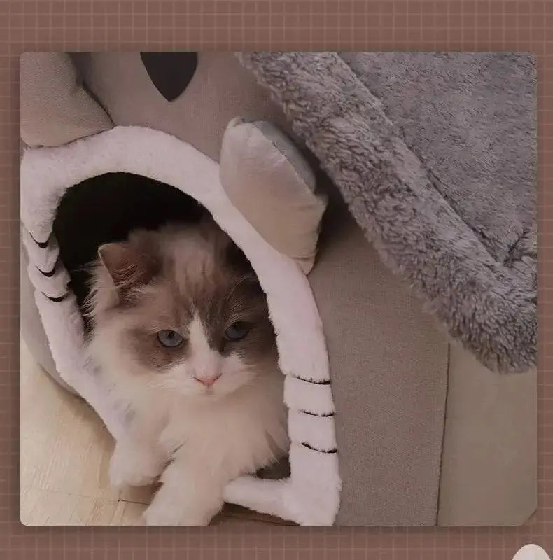 All Seasons Cat House Shop1103328158 Store