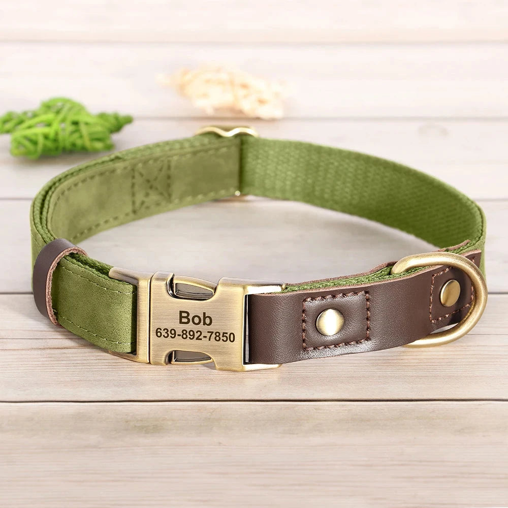 Personalized Dog Collar and leash David's Mall-Pet Products Supplier
