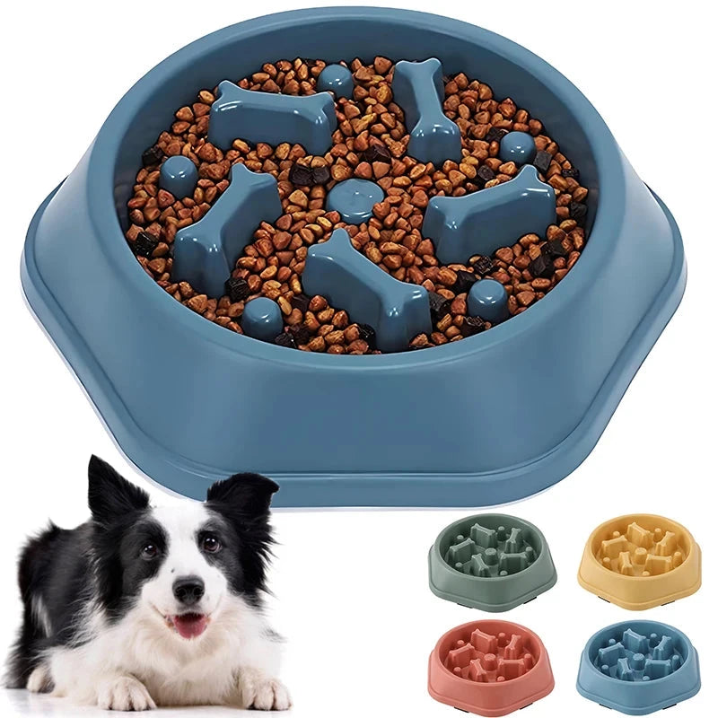 Slow Feeder Dog Bowl Doggy Live House Store