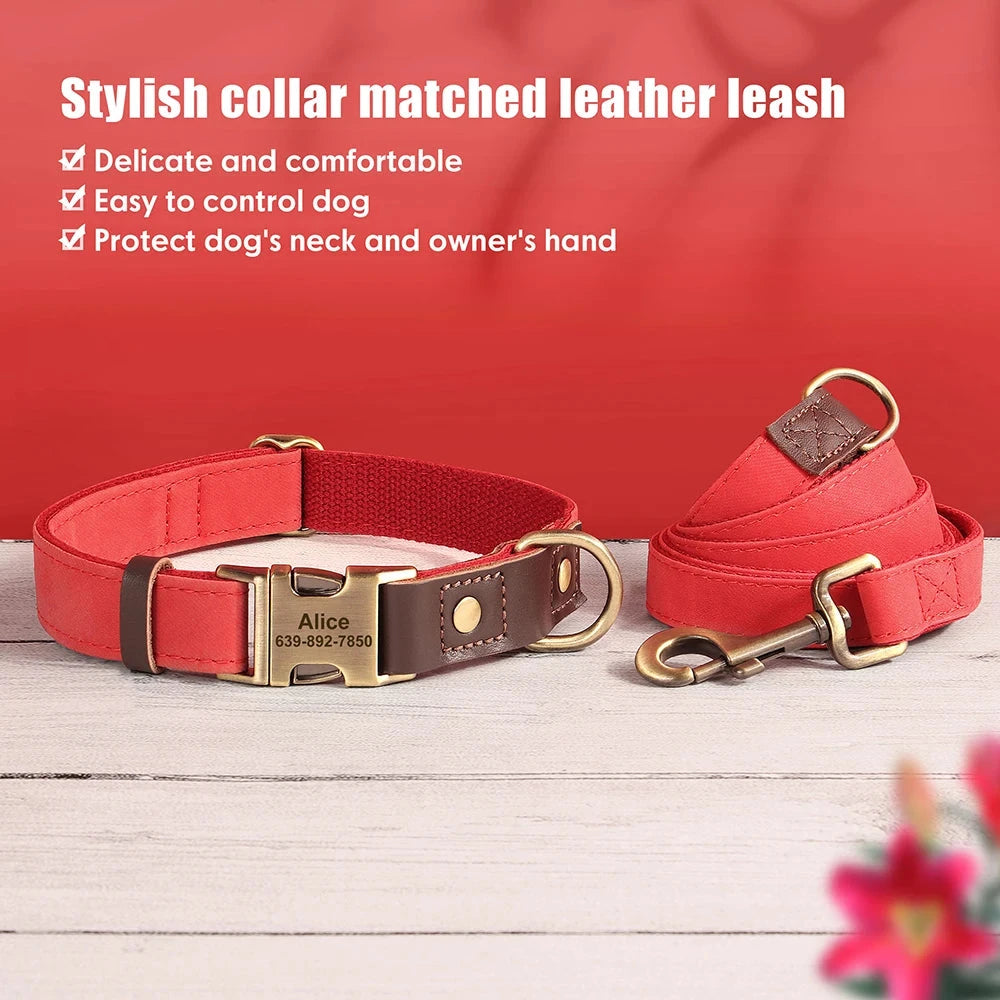 Personalized Dog Collar and leash David's Mall-Pet Products Supplier