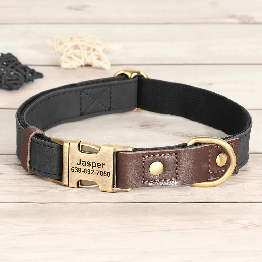 Personalized Dog Collar and leash David's Mall-Pet Products Supplier