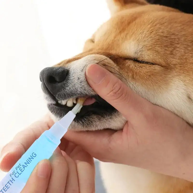 Dog Teeth Cleaning Pen