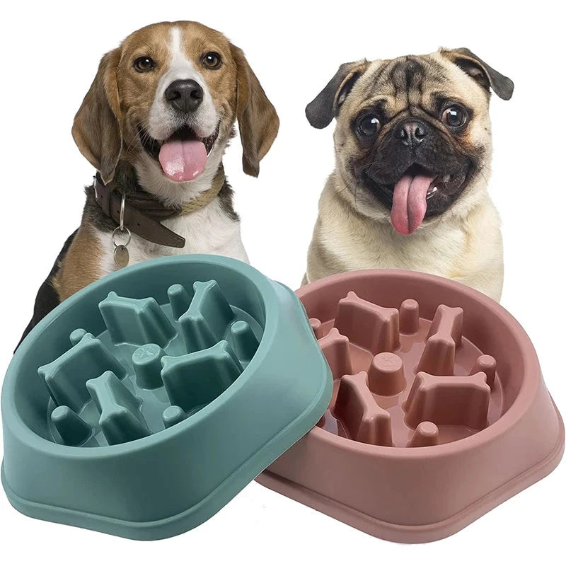 Slow Feeder Dog Bowl Doggy Live House Store